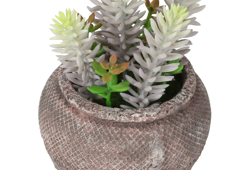 Artificial Plant, Set Of 2, 8' Tall, Succulent, Table, Brown Cement Pots, Contemporary, Modern