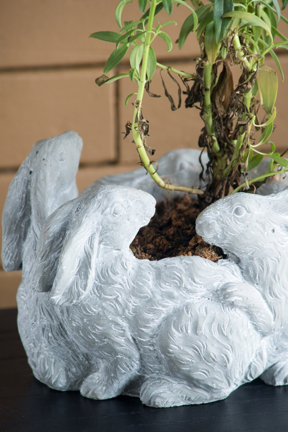10x8x6.5' 5 Bunny Cement Planter Media 9