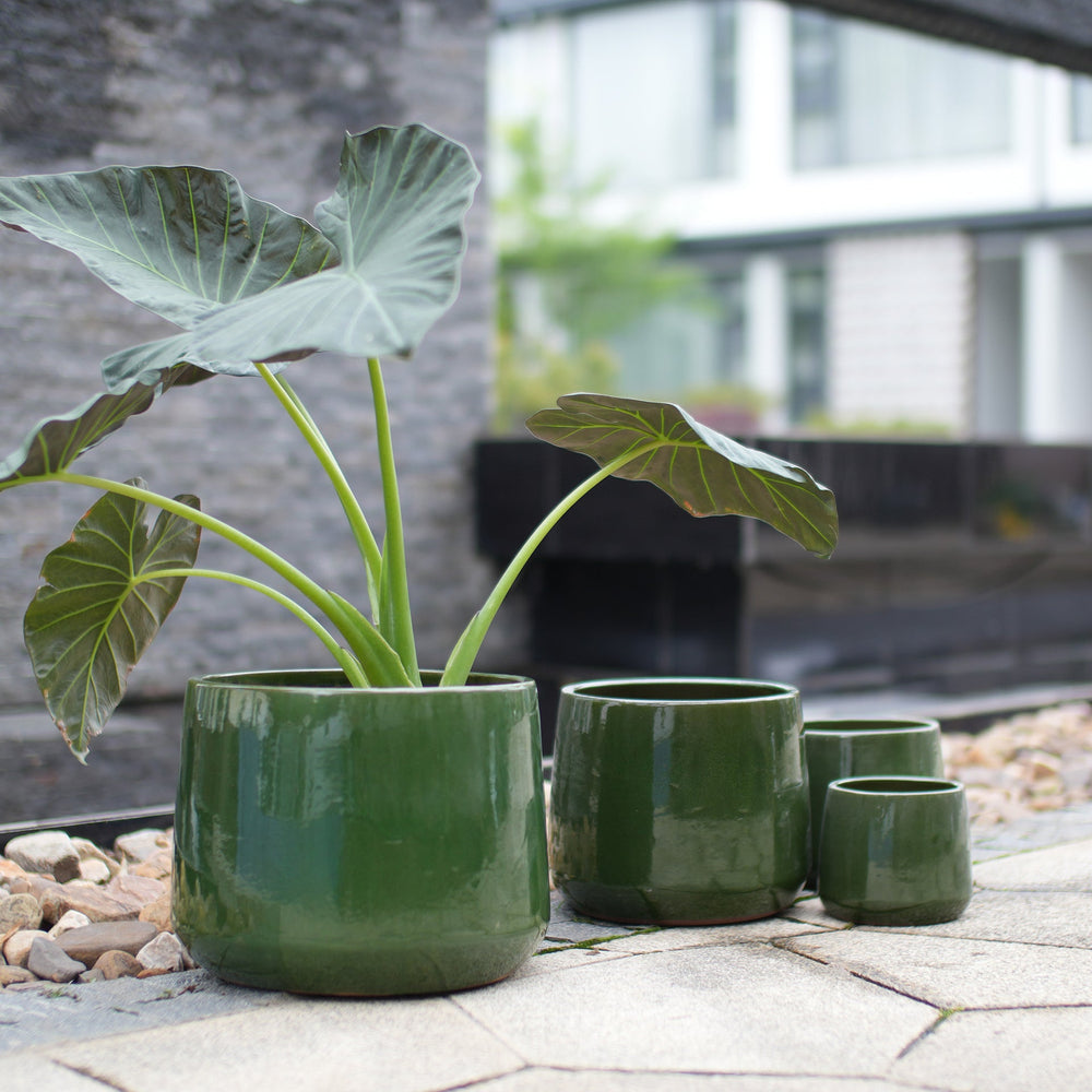 Handmade Solid Glazed Ceramic Planter Set of 4, 14/11/9/7 Inch Diameter, Deep Green, for Succulents and Cacti, Outdoor Garden & Indoor Stairs Use, Breathable Clay with Drainage Holes Media 1