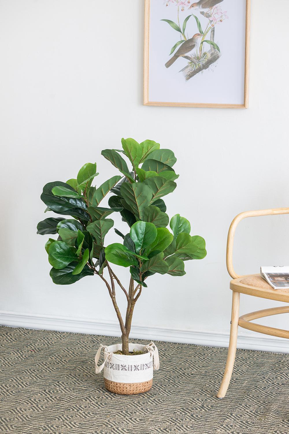 16.5x21x41.5'H Fiddle Fig Leaf Tree, 80 Leaves Media 5