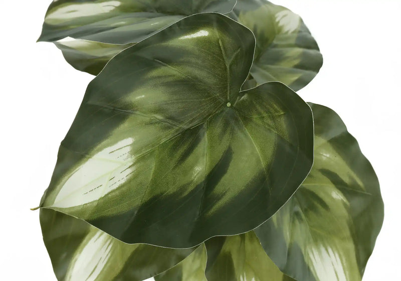 Artificial Plant, 13' Tall, Monstera Calthea, Indoor, Faux, Fake, Table, Greenery, Potted, Set Of 2, Decorative, Green Leaves, Black Pots