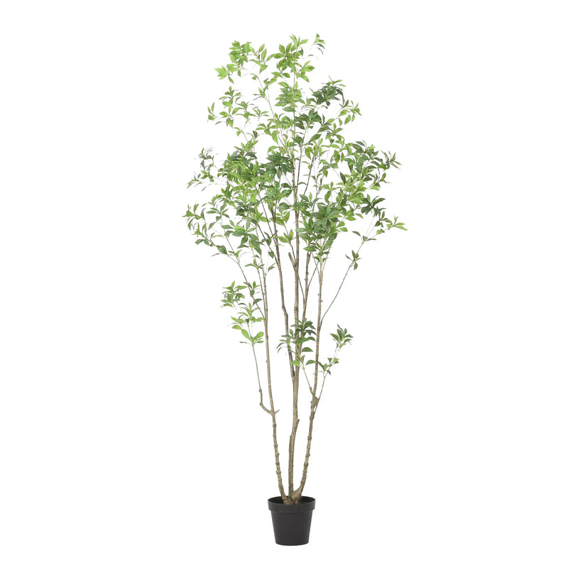 240CMARTIFICIAL PIERIS TREE