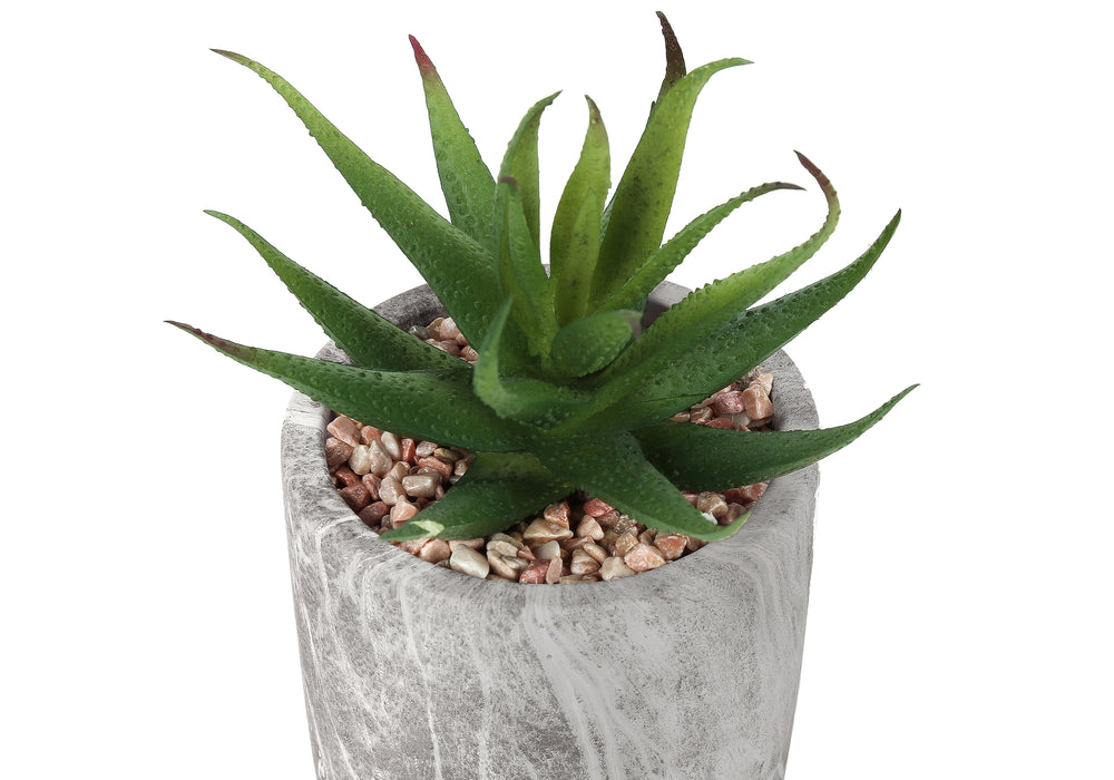Artificial Plant, 6' Tall, Succulent, Indoor, Faux, Fake, Table, Greenery, Potted, Set Of 2, Decorative, Green Leaves, Grey Cement Pots Media 3