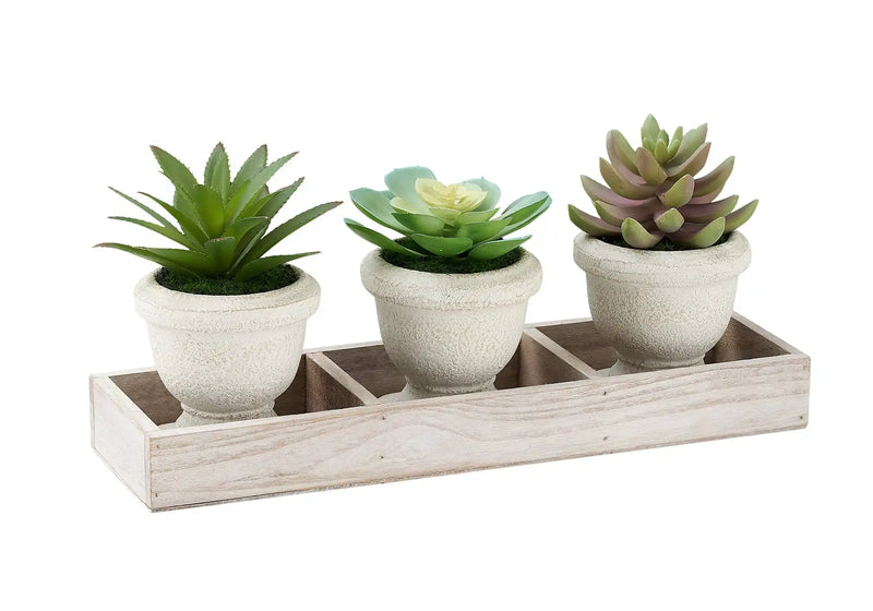 Artificial Plant, Set Of 3, 6' Tall, Succulent, Table, Beige Pots, Contemporary, Modern
