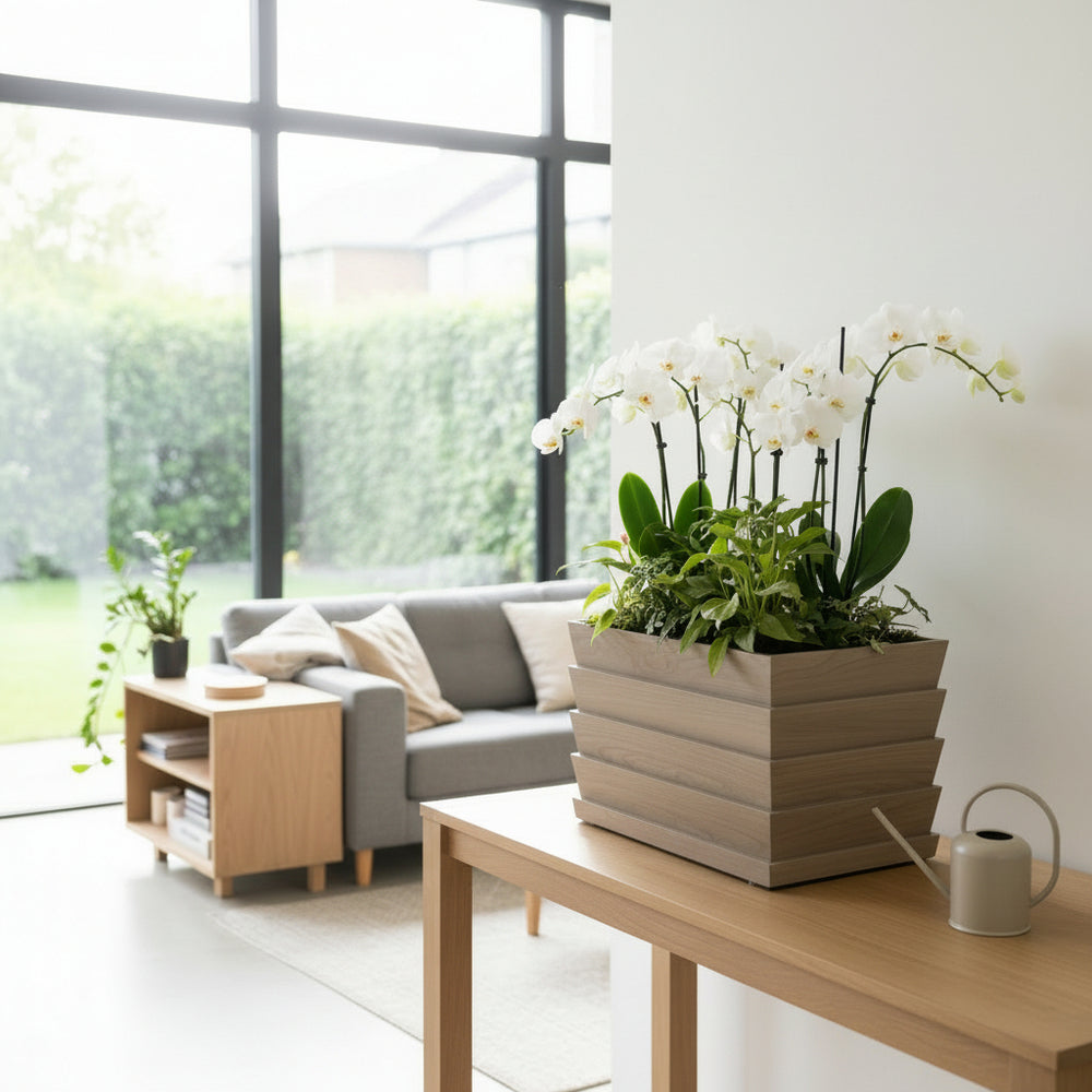 Rectanglar Ridge Box Planter Short - Ash Brown Media 3
