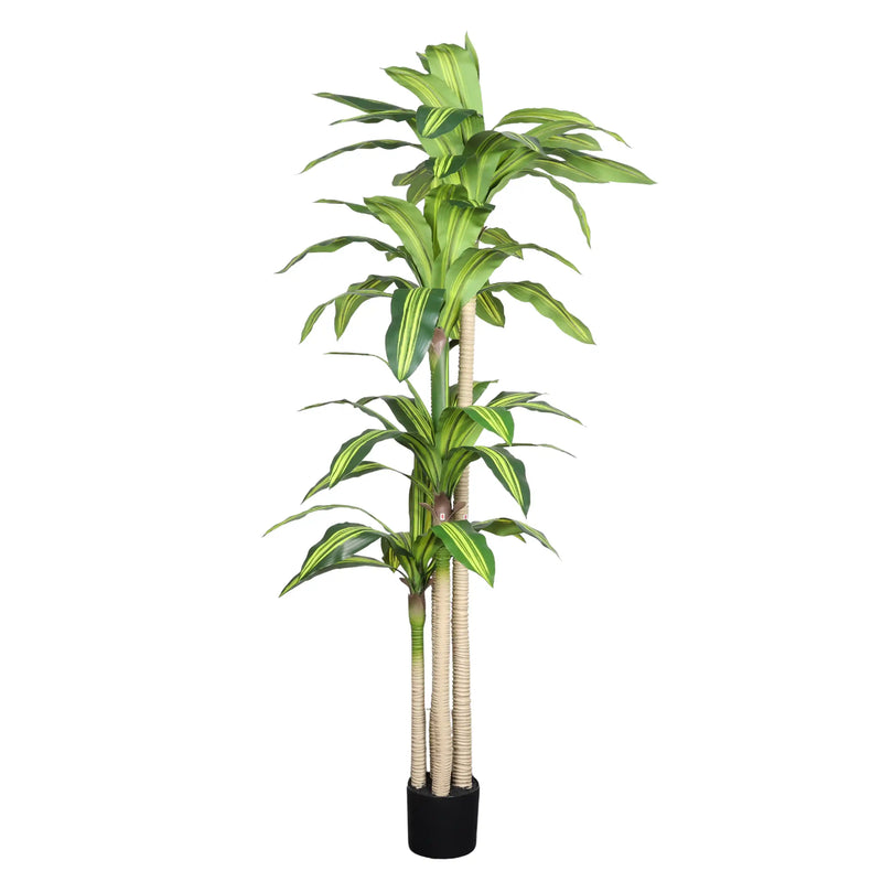 6' Artificial Dracaena Tree with Black Plastic Pot