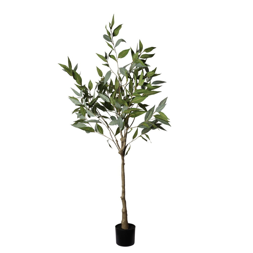 5FT Realistic Artificial Eucalyptus Tree in Black Plastic Pot with Lush Green Fabric Leaves, Indoor Potted Faux Plant for Home Office Decor Media 1