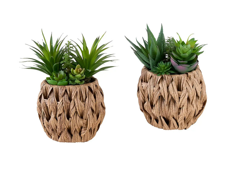 Artificial Plant, Set Of 2, 9' Tall, Succulent, Table, Brown Woven Basket, Contemporary, Modern