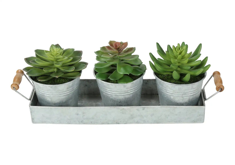 Artificial Plant, Set Of 3, 6' Tall, Succulent, Table, Silver Metal Pots, Contemporary, Modern