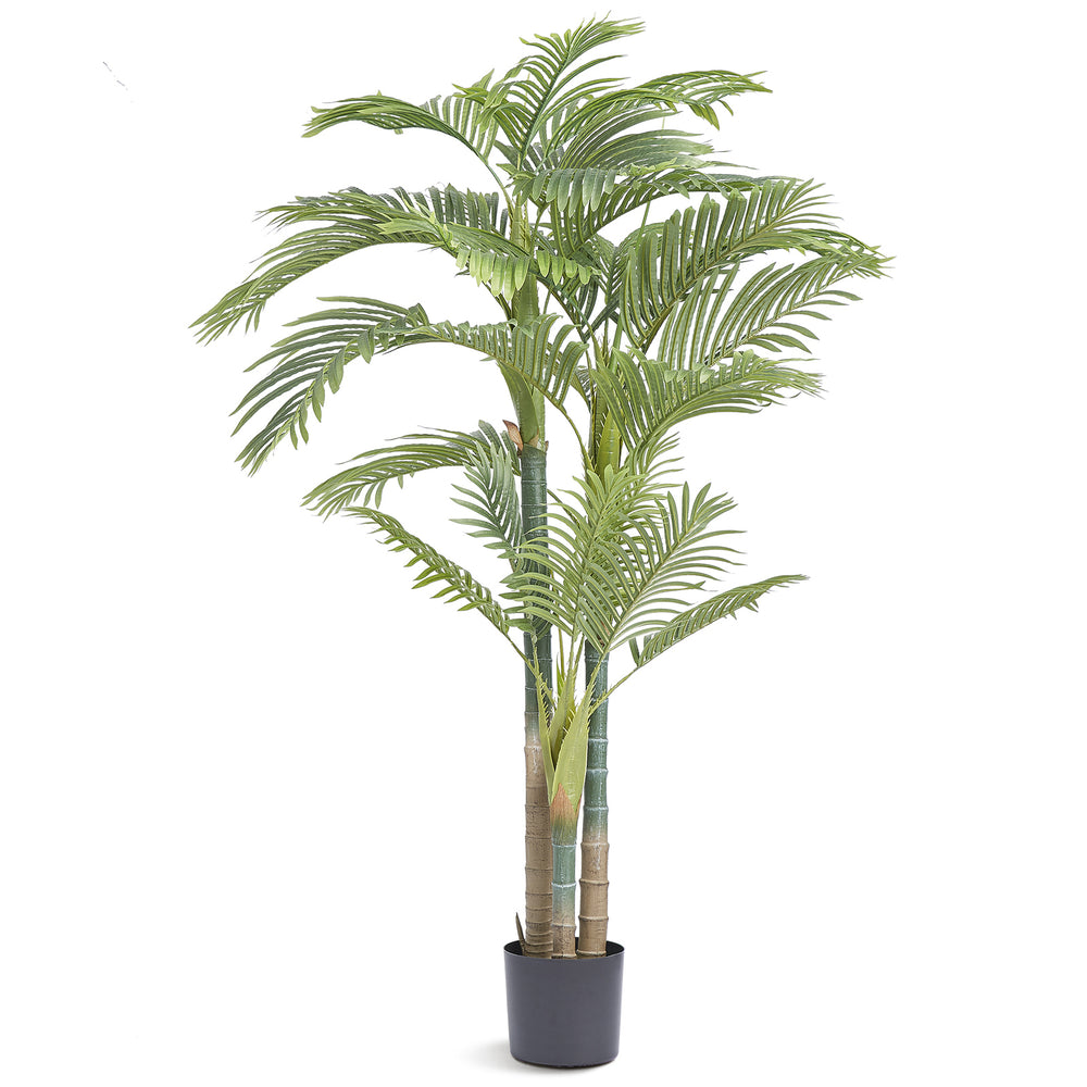 Artificial Gold Cane Palm Tree, 6.5 FT Tall Faux Plant, PE Material & Anti-Tip Tilt Protection Low-Maintenance Plant, Lifelike Green Fake Tree for Home Office Warehouse Decor Indoor Outdoor Media 4