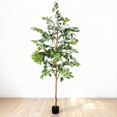 6FT Artificial Ficus Tree with Natural Trunk in Black Plastic Pot for Indoor Home Office Decor, 1pc/set perspective