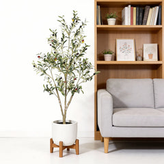 5' Artificial  Olive Tree in Black Plastic Pot, 1pc/set perspective