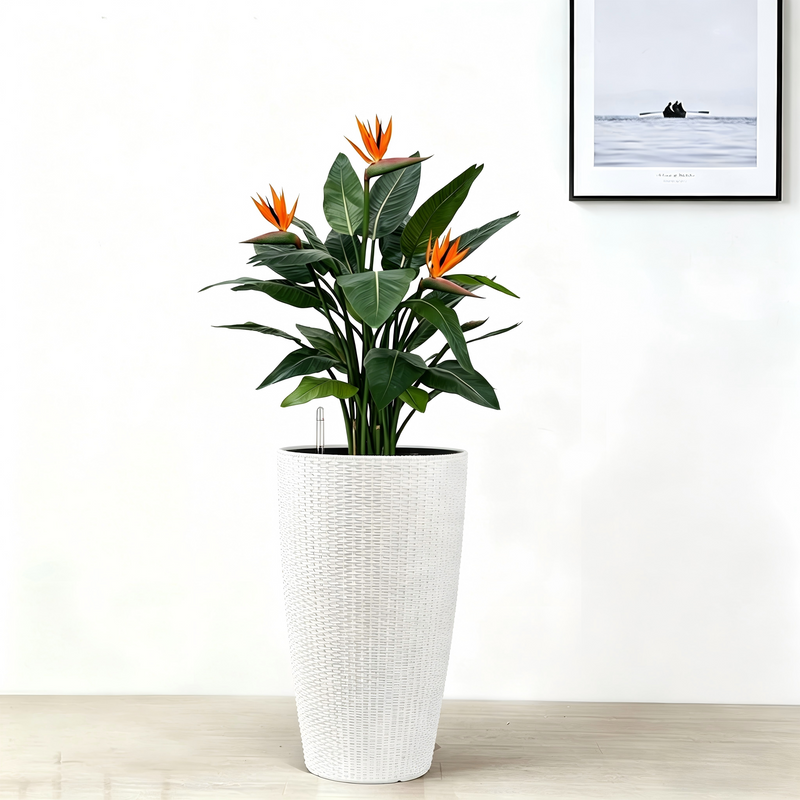 Faux Rattan Tall Planters Set with Water Level Monitor and Automatic Watering, White, Polypropylene, 22 Inch
