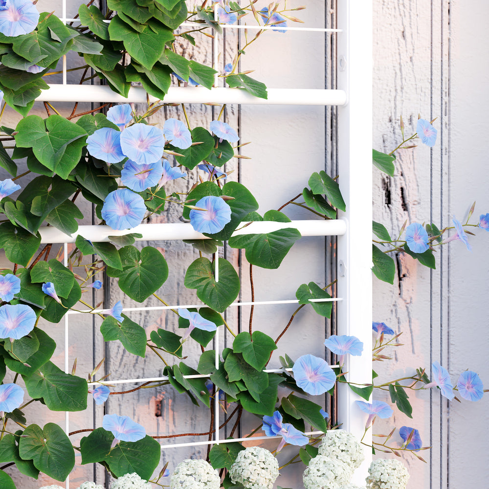 Outsunny Galvanized Raised Garden Bed with Trellis for Climbing Vines Vegetables Flowers, Outdoor Planter Box, 35.4' x 15.7' x 47.2', White Media 5