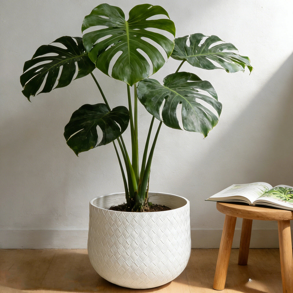 Assorted Sizes Magnesium Oxide Round Planter,21.65''+14.17''+8.66'' Dia Set of 3 Planter,Outdoor Indoor Plant Pot with Drainage Hole, White Color  with Weaving Pattern Planter for Home Garden Patio Media 2
