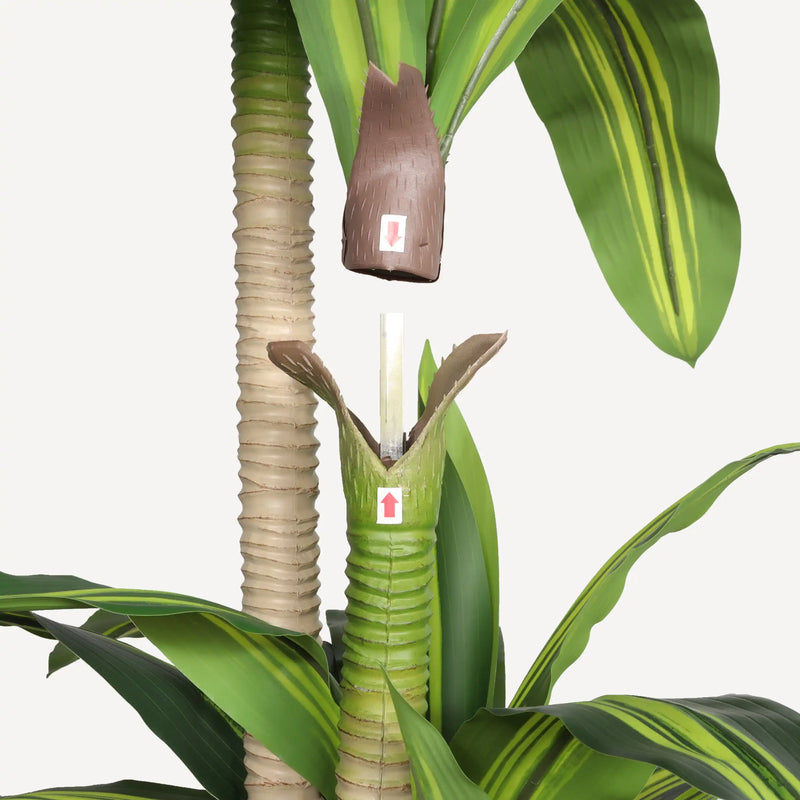 6' Artificial Dracaena Tree with Black Plastic Pot