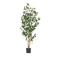 150CM ARTIFICIAL LAUREL TREE perspective