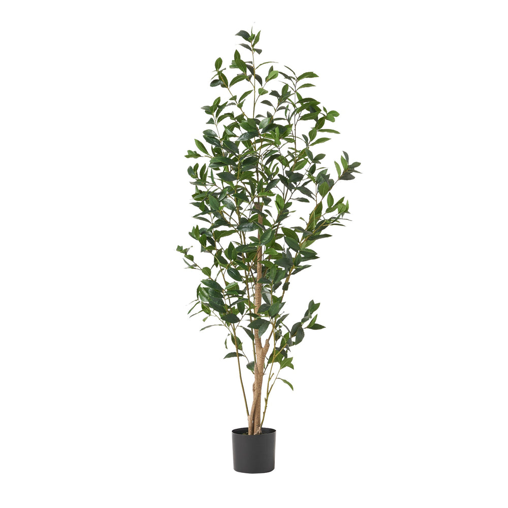 150CM ARTIFICIAL LAUREL TREE Media 1