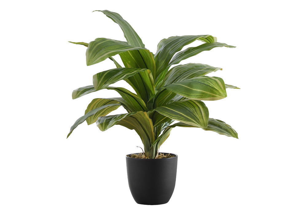 Artificial Plant, 17' Tall, Dracaena, Indoor, Faux, Fake, Table, Greenery, Potted, Real Touch, Decorative, Green Leaves, Black Pot Media 2