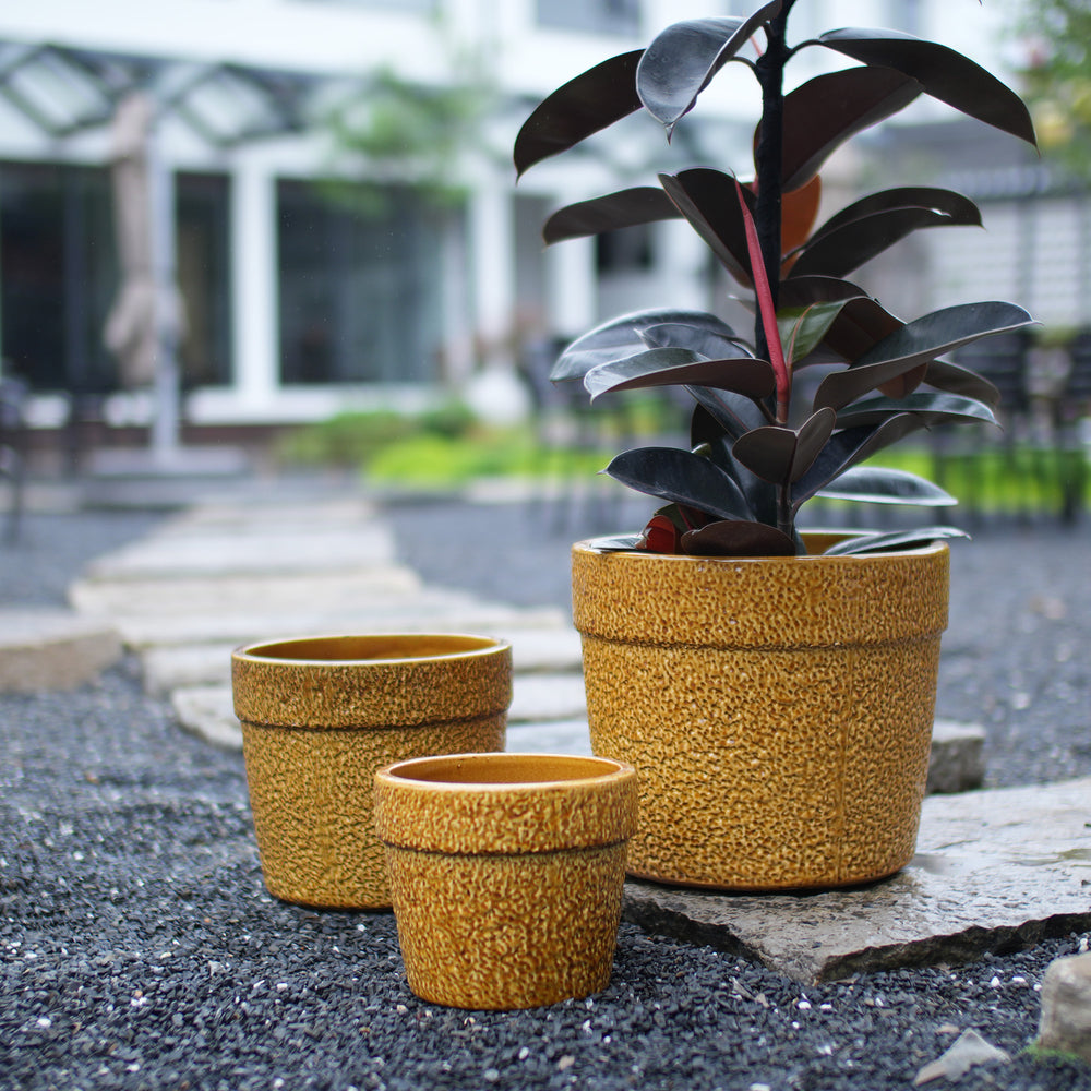 Handmade Ceramic Planter Set of 3, 15/12/9 Inch Diameter, Earth-Tone Speckled Glaze, for Orchids & Indoor Plants, Windowsill & Bookshelf Use, Breathable Clay Media 2