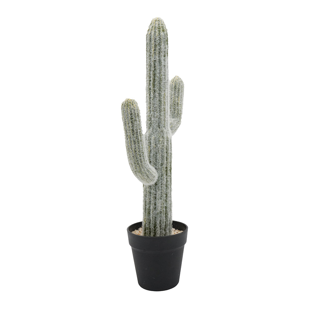 8x5x24.5'H Artificial Saguaro Cactus in Black Pot Media 3