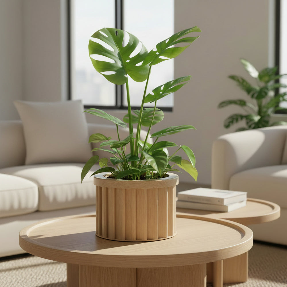 Round Strata Planter MD - Beige Brown Media 2