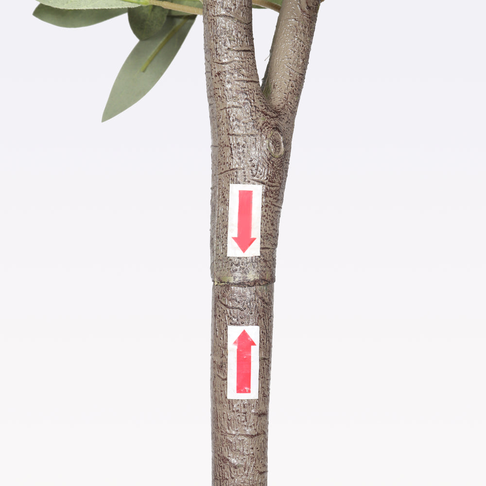 6FT Artificial Olive Tree in Black Plastic Pot, 1pc/set Media 14