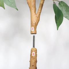 6FT Artificial Ficus Tree with Natural Trunk in Black Plastic Pot for Indoor Home Office Decor, 1pc/set perspective