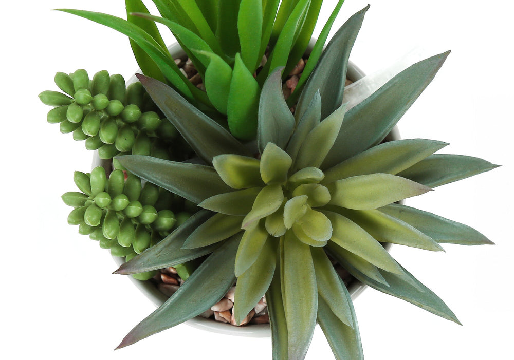 Artificial Plant, 7' Tall, Succulent, Indoor, Faux, Fake, Table, Greenery, Potted, Set Of 2, Decorative, Green Plants, White Ceramic Pots Media 5