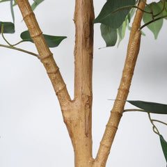 6FT Artificial Ficus Tree with Natural Trunk in Black Plastic Pot for Indoor Home Office Decor, 1pc/set perspective