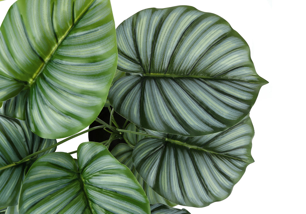 Artificial Plant, 24' Tall, Calathea, Indoor, Faux, Fake, Table, Greenery, Potted, Real Touch, Decorative, Green Leaves, Black Pot Media 4