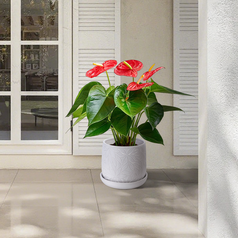 Handmade White Glossy Ceramic Planter Set of 2, 6' & 8' Diameter, Leaf Pattern Design, for Succulents and Herbs Indoor/Outdoor Shelf & Table Use, Breathable Clay with Saucers Media 6