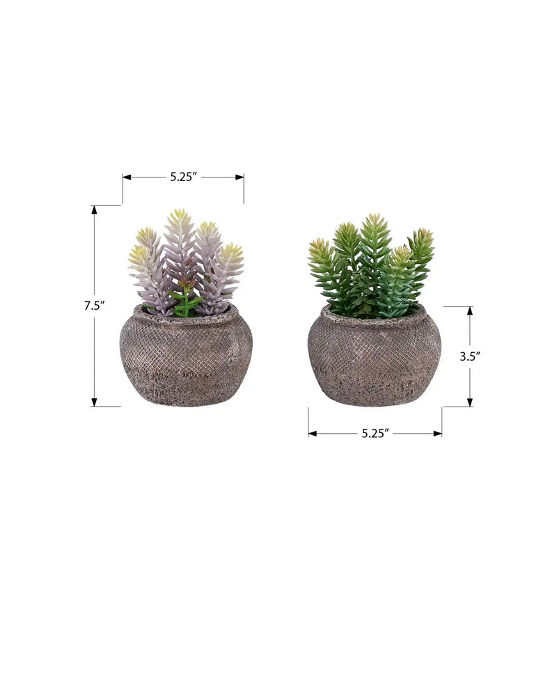 Artificial Plant, Set Of 2, 8' Tall, Succulent, Table, Brown Cement Pots, Contemporary, Modern