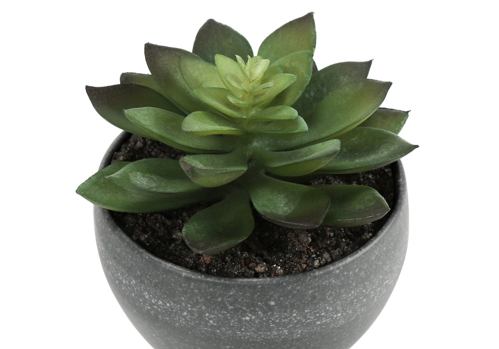 Artificial Plant, 6' Tall, Succulent, Indoor, Faux, Fake, Table, Greenery, Potted, Set Of 3, Decorative, Green Plants, Grey Cement Pots Media 5
