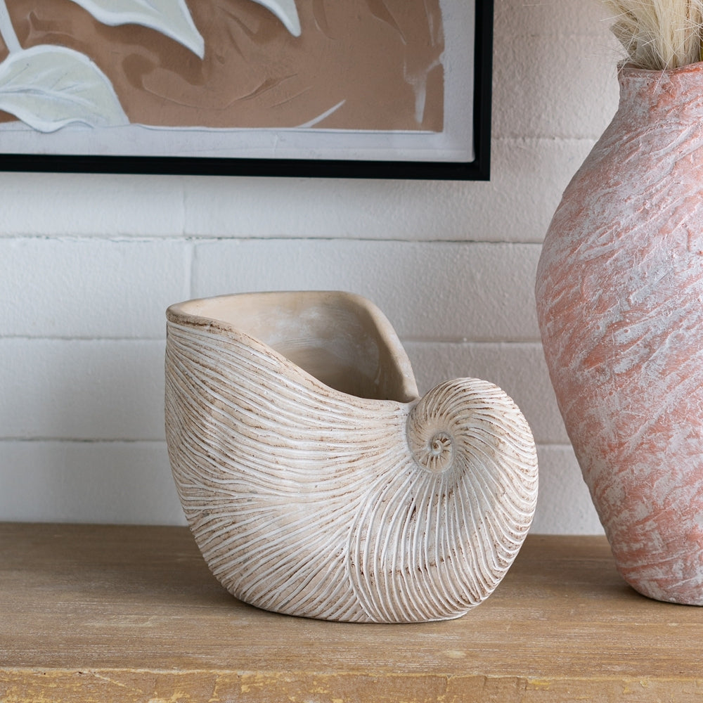 11.5x6.7x7.7' Sand and Cement Nautilus Shell Planter with Textured Beige Finish Media 1