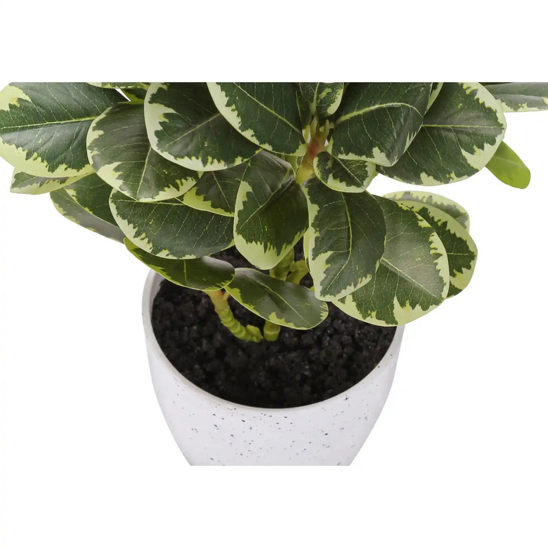 Artificial Ficus Plant Set of 2, 14 Inch Tall Indoor Decorative Table Potted Greenery with White Speckled Pots, Green Leaves, Plastic, 9x10x14 Inches