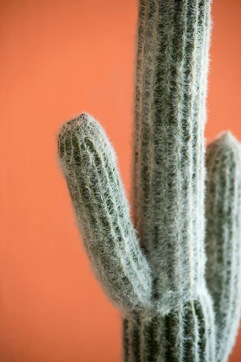 8x5x24.5'H Artificial Saguaro Cactus in Black Pot
