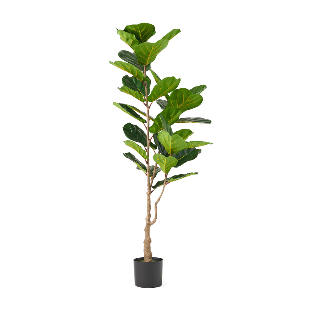 150CM ARTIFICIAL FIDDLE LEAF FIG TREE Media 2