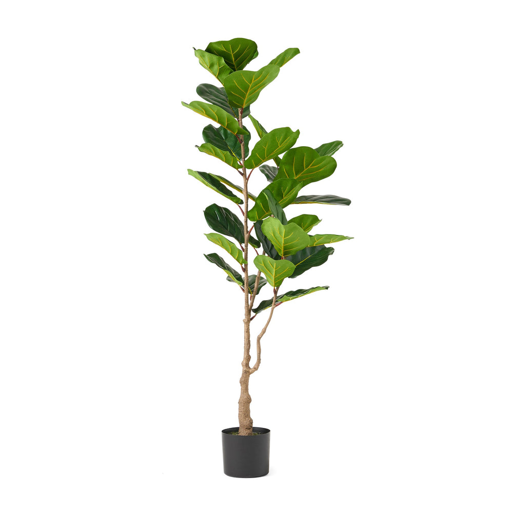 150CM ARTIFICIAL FIDDLE LEAF FIG TREE Media 2
