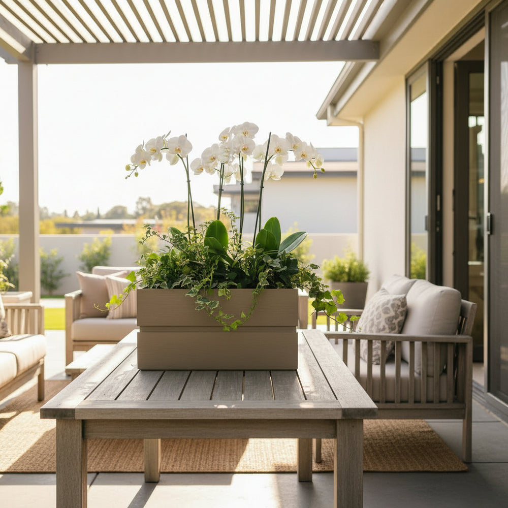 Rectanglar Terrace Planter Short - Grey Brown Media 3