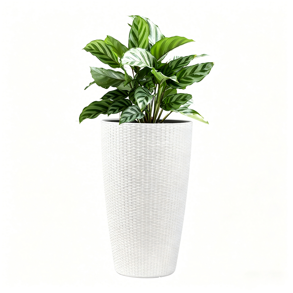 Faux Rattan Tall Planters Set with Water Level Monitor and Automatic Watering, White, Polypropylene, 22 Inch Media 11
