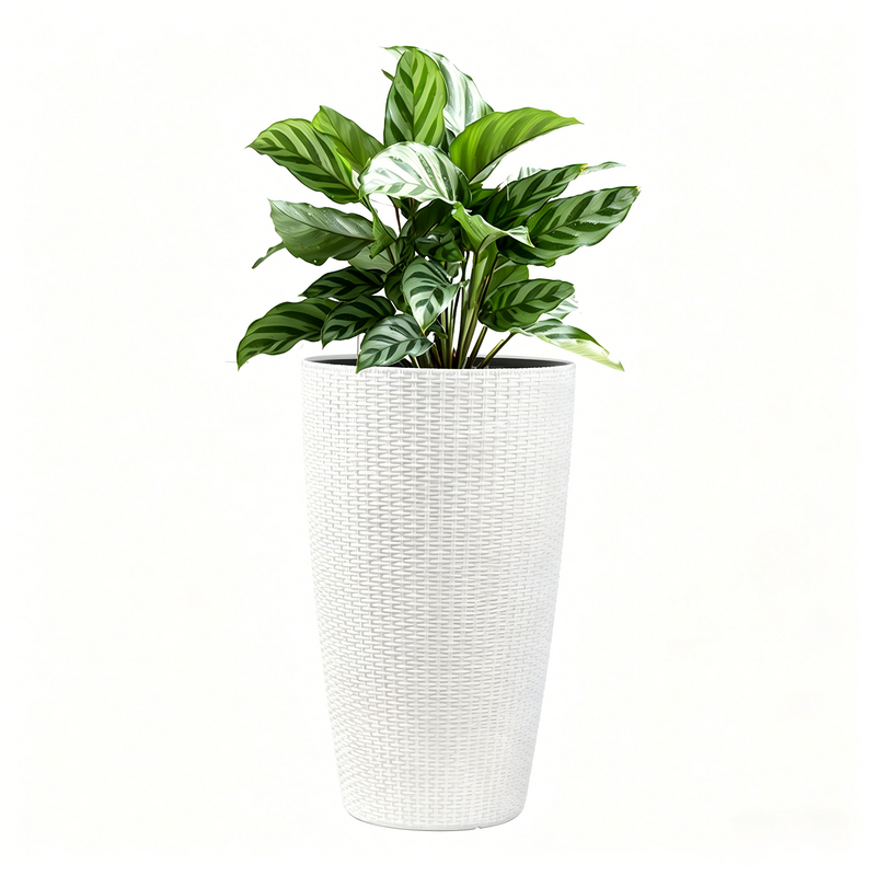 Faux Rattan Tall Planters Set with Water Level Monitor and Automatic Watering, White, Polypropylene, 22 Inch
