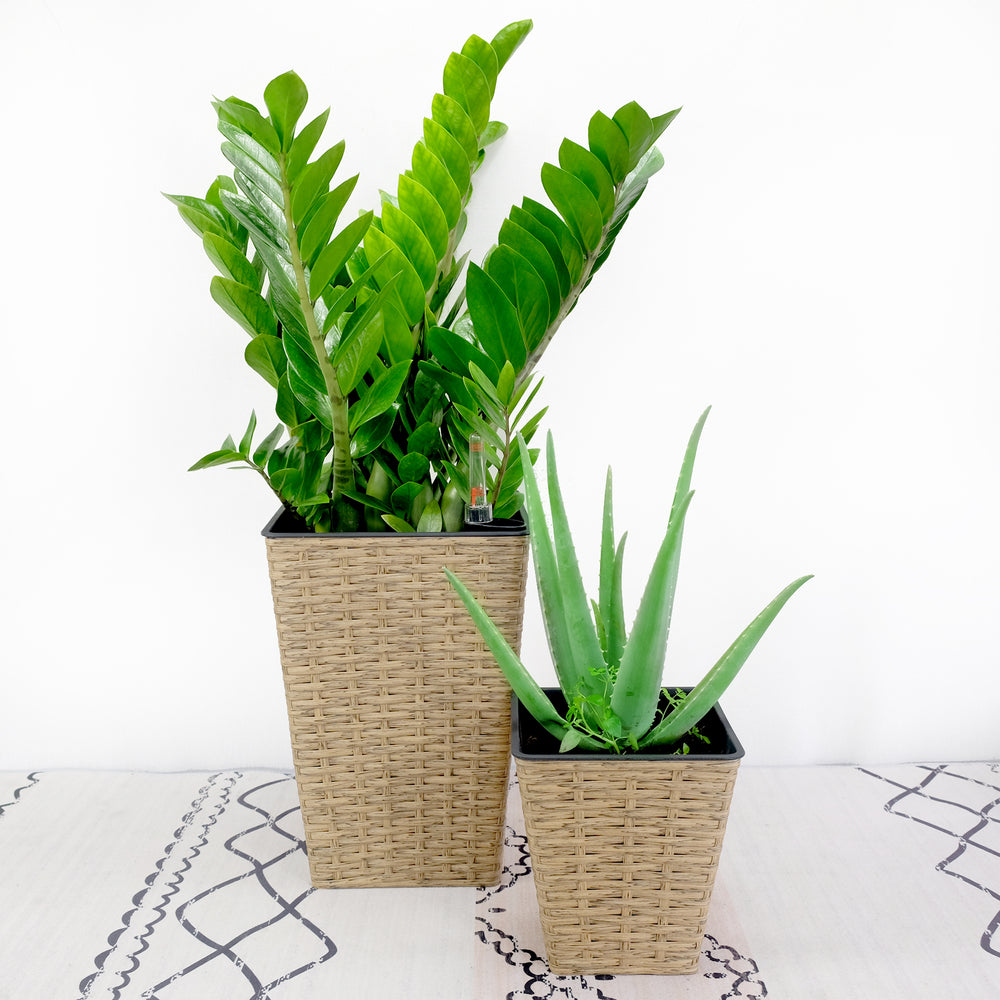 2-Pack Smart Self-watering Square Planter for Indoor and Outdoor - Hand Woven Wicker - Brown Media 1