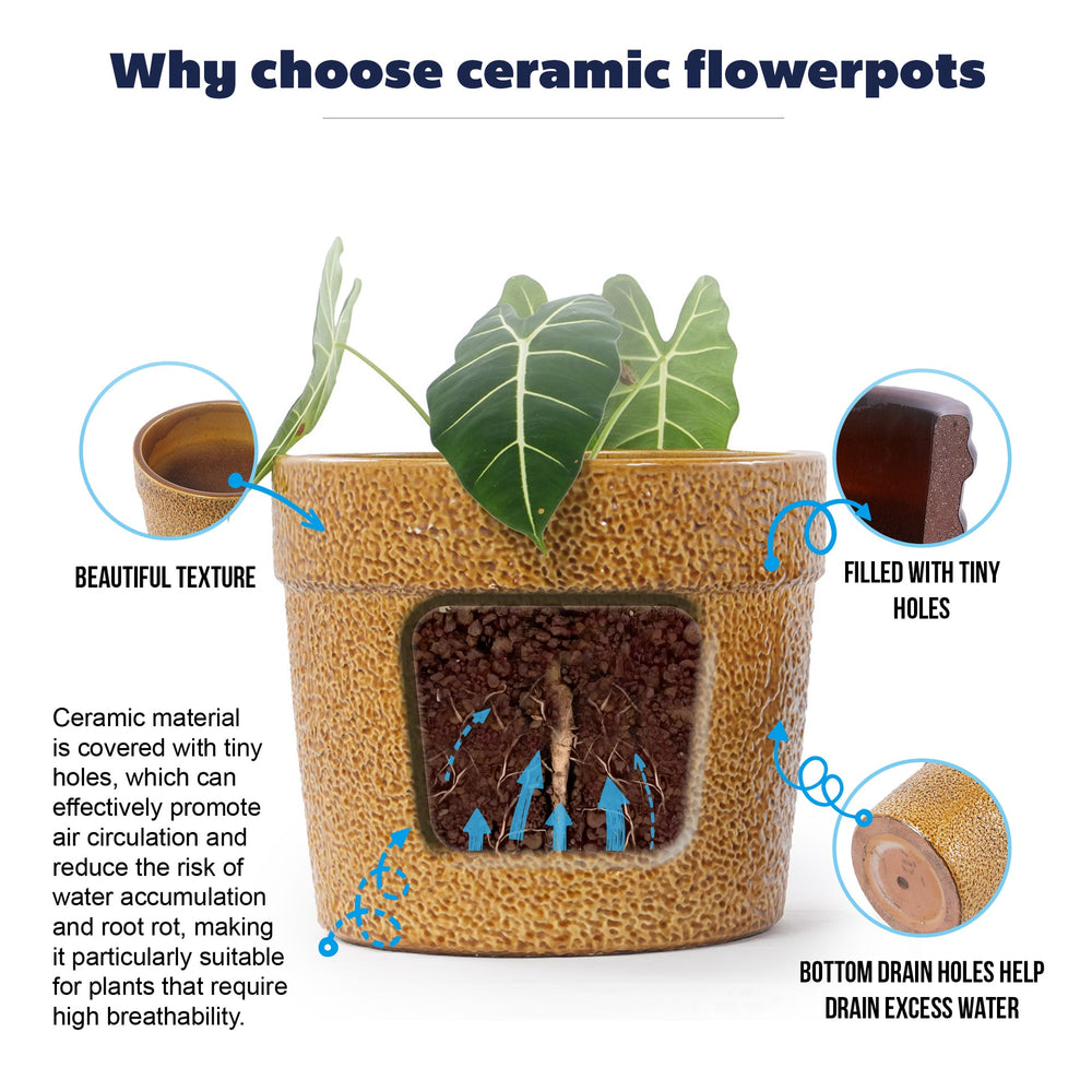 Handmade Ceramic Planter Set of 3, 15/12/9 Inch Diameter, Earth-Tone Speckled Glaze, for Orchids & Indoor Plants, Windowsill & Bookshelf Use, Breathable Clay Media 7