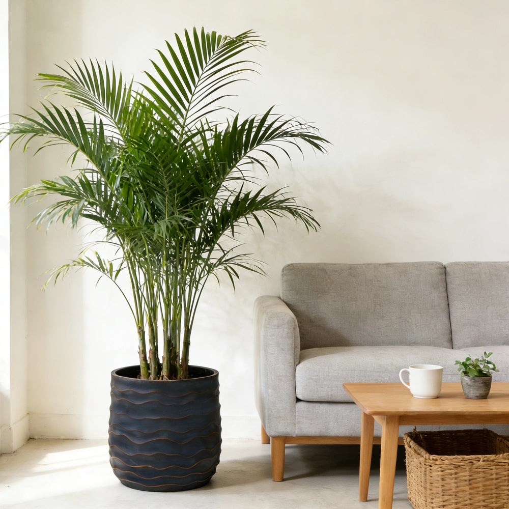 Large Round Planters Set of 2 (16.14'x15.75' & 11.8' x11.42'') - Lightweight Magnesium Oxide Plant Pot with Texture -Concrete Planter Pots with Drainage Hole – Indoor & Outdoor Use Media 3