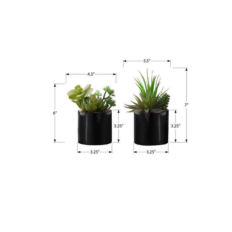 Artificial Succulent Plants Set of 2, Green Faux Indoor Potted Decor in Glossy Black Pots, Realistic Greenery for Table or Shelf