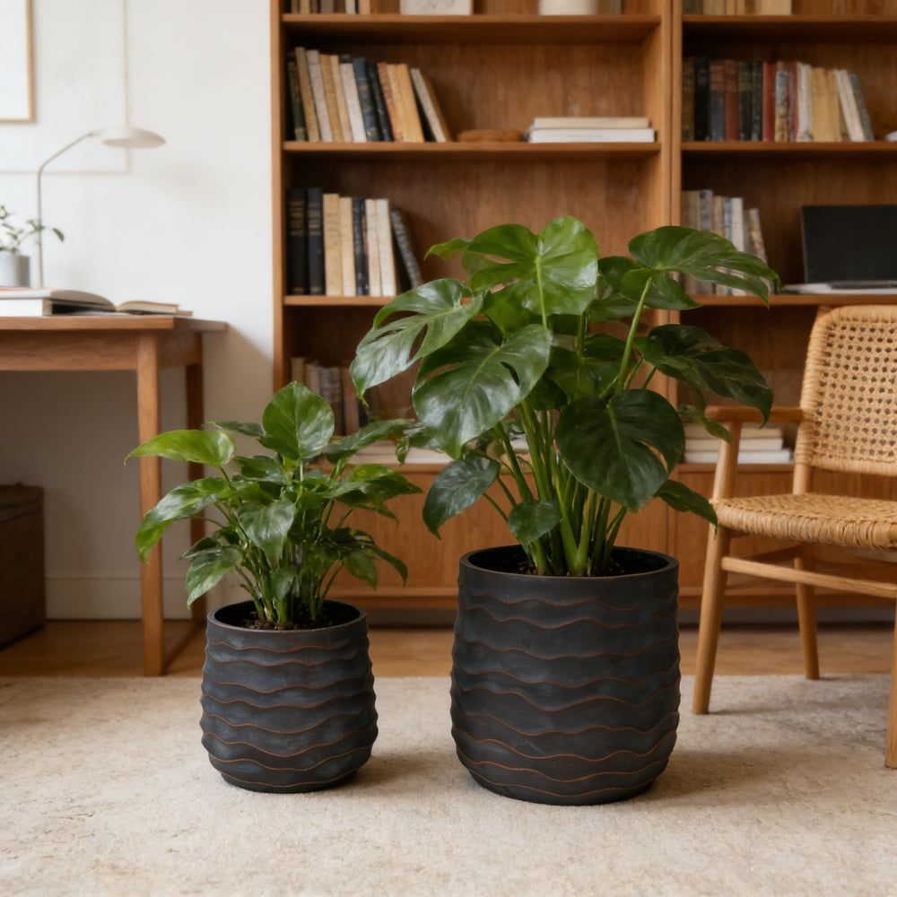 Large Round Planters Set of 2 (16.14'x15.75' & 11.8' x11.42'') - Lightweight Magnesium Oxide Plant Pot with Texture -Concrete Planter Pots with Drainage Hole – Indoor & Outdoor Use Media 1