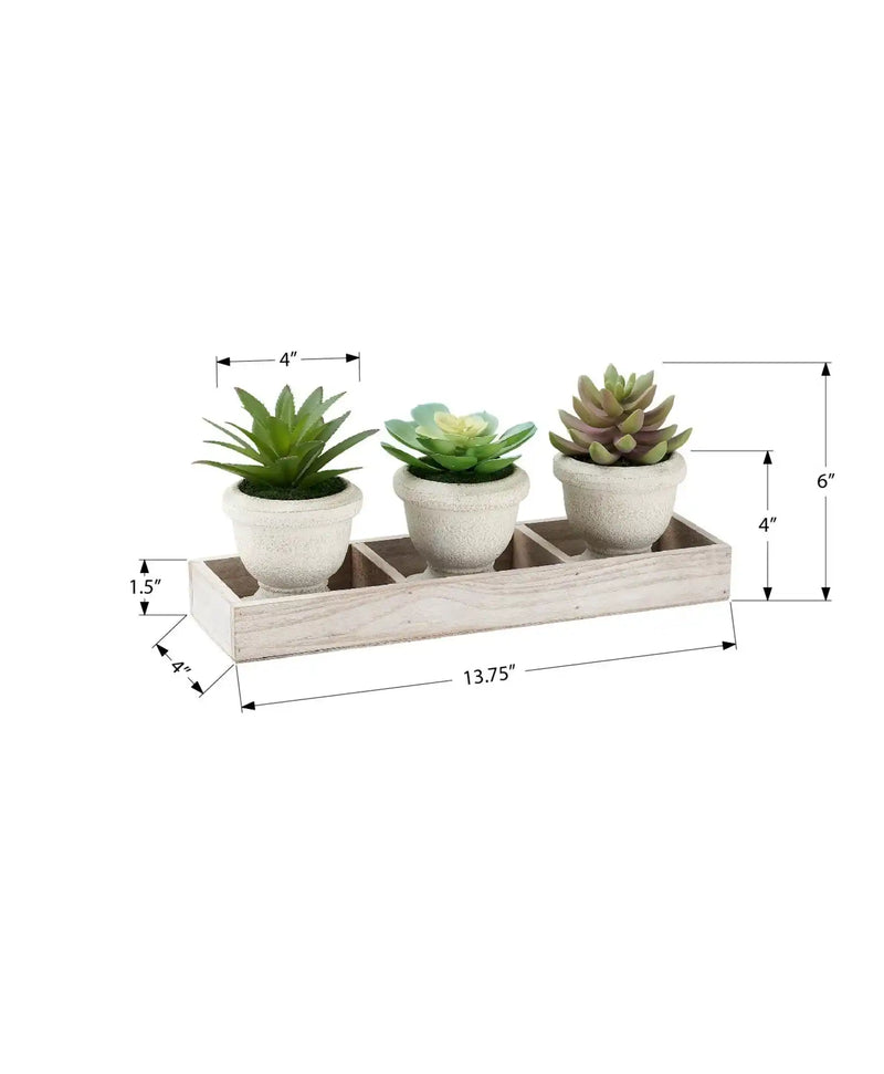 Artificial Plant, Set Of 3, 6' Tall, Succulent, Table, Beige Pots, Contemporary, Modern