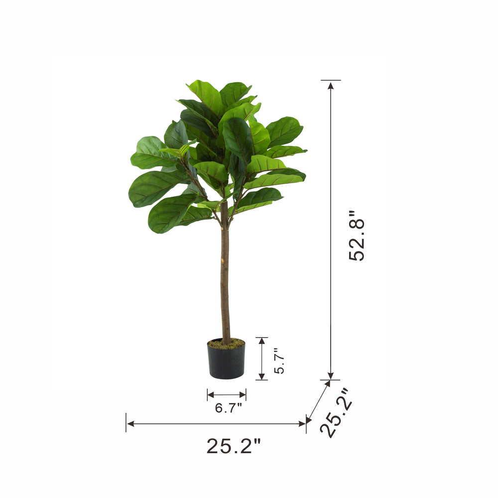25x25x52'H Fiddle Fig Leaf Tree, 40 Leaves Media 9
